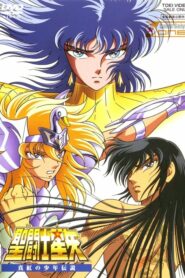 Saint Seiya: Shinku no Shonen Densetsu